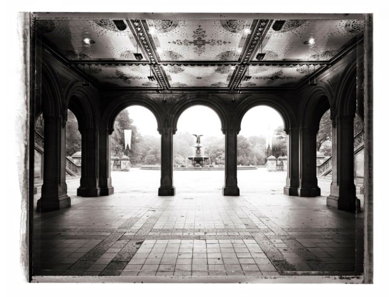 Christopher Thomas- Central Park