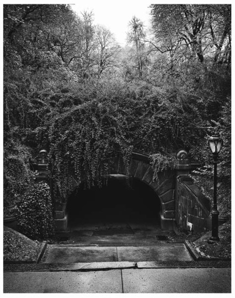 Mark Seliger- Central Park