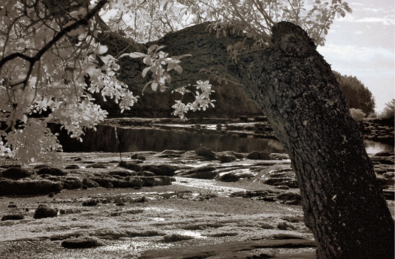 Lou Reed - Photography