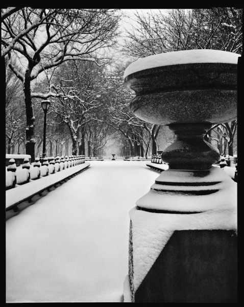 Mark Seliger- Central Park