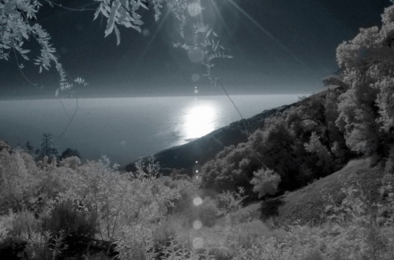 Lou Reed - Photography