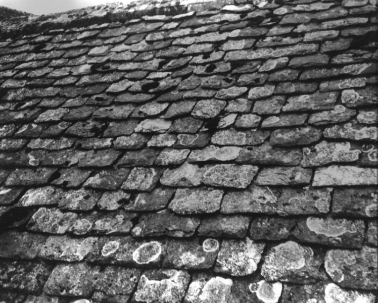 Andy Warhol - Street