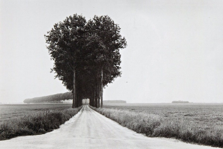 Henri Cartier-Bresson- Brie, France