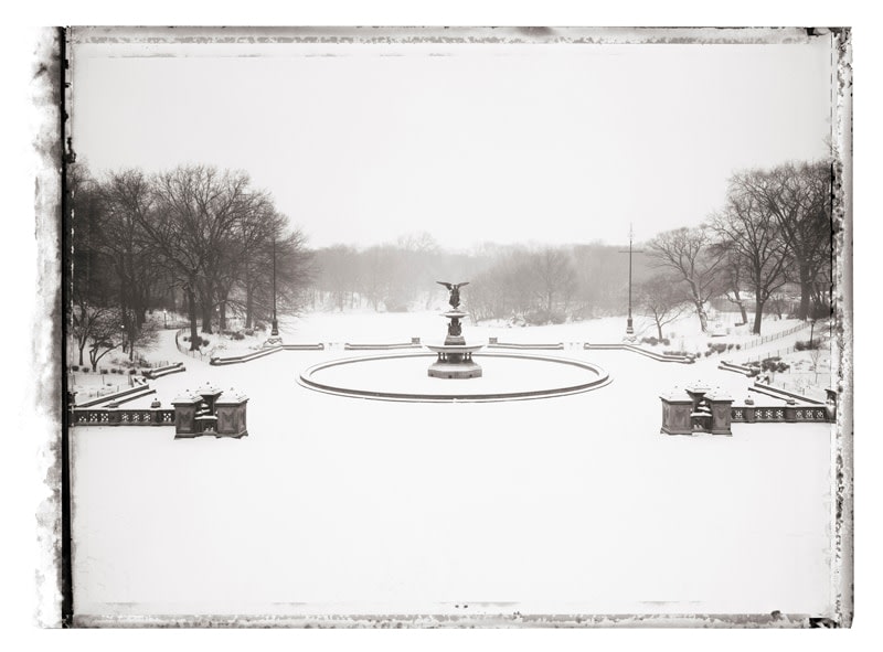 Christopher Thomas- Central Park