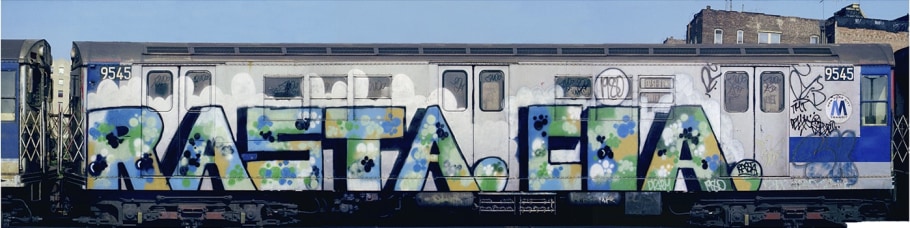 Henry Chalfant- Rasta CIA