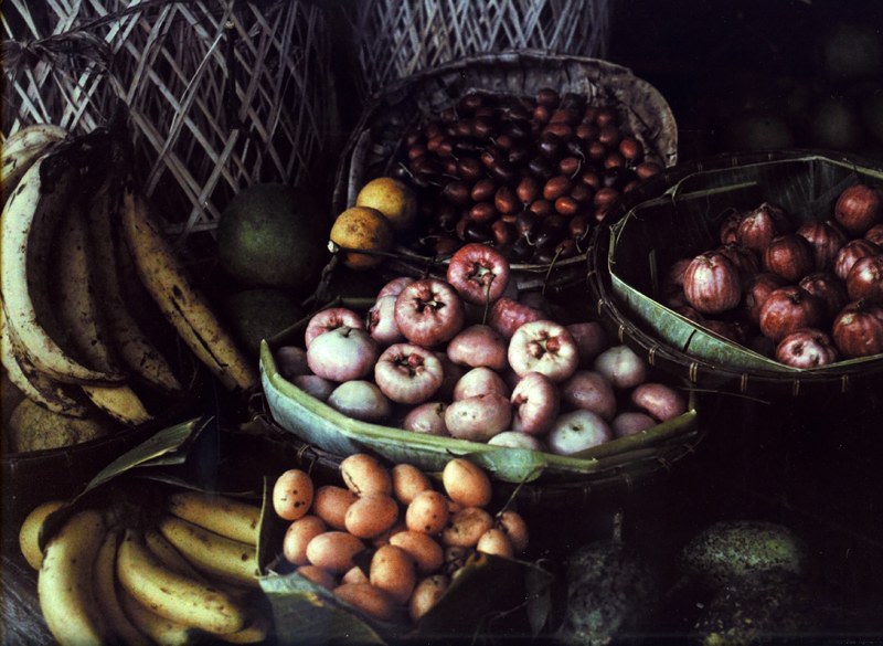 Jules Gervais-Courtellemont- Fresh Mangosteen