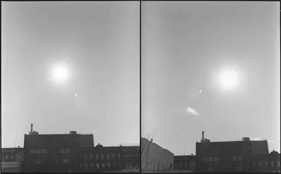 Zoe Leonard - January 19, Frame 7 + Frame 11, 2012