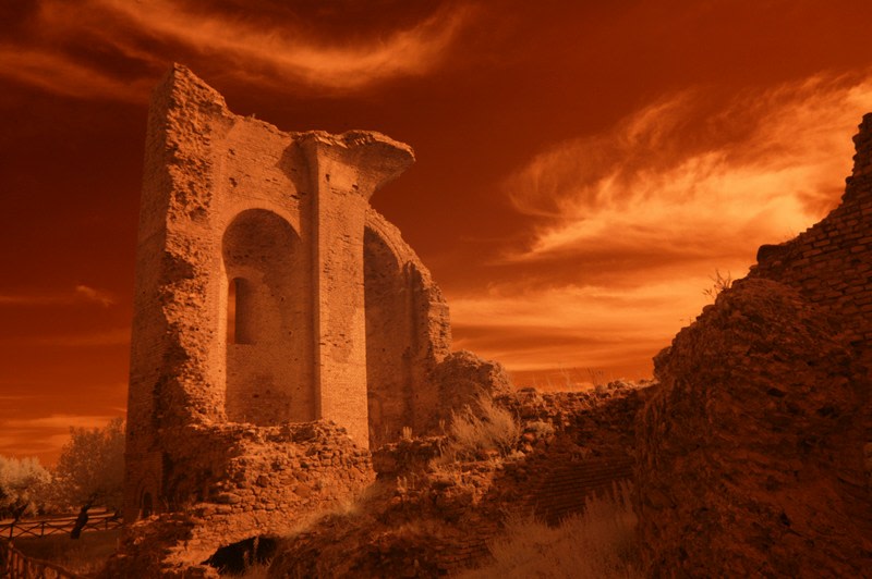 Lou Reed - Photography