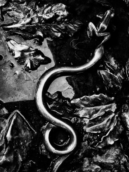 Daido Moriyama - Record No. 19, Italy