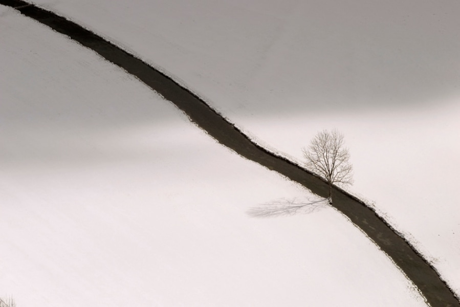 Norbert Rosing- Winter Landscape