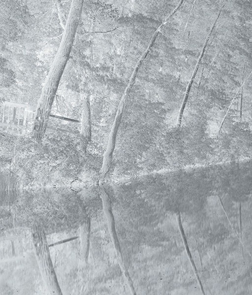 Clifford Ross - Gate II