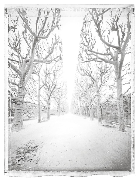 Christopher Thomas- Jardin des Plantes