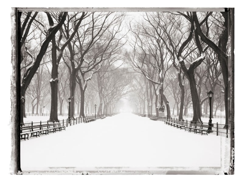 Christopher Thomas- Central Park