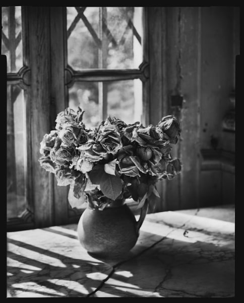 Mark Seliger- Flowers
