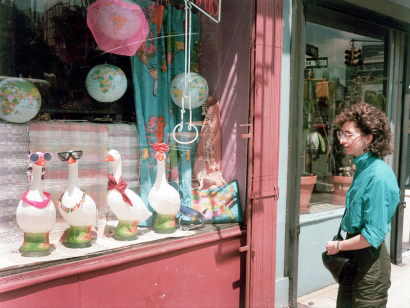 Max Kozloff- Window with Toy Geese and Viewer