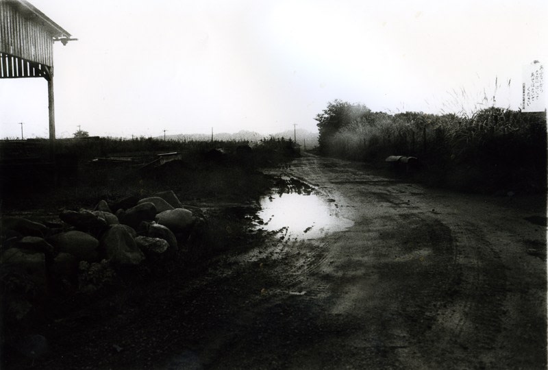 Daido Moriyama- Tokyo: A Sequel to a Following Story