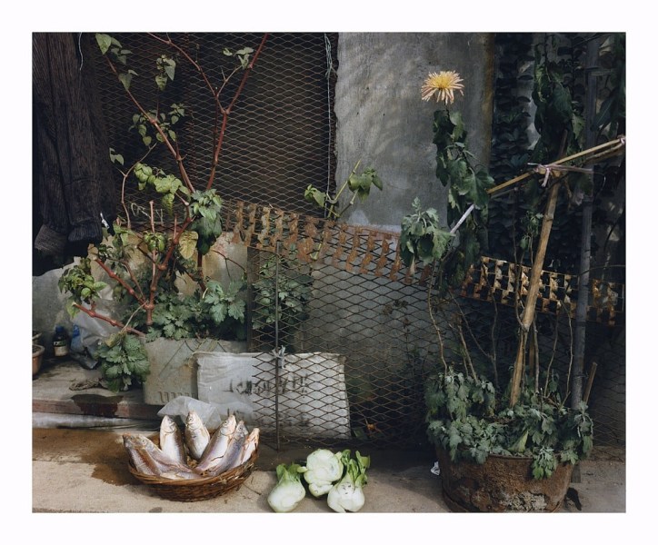 Leo Rubinfien- A Makeshift Kitchen, Shanghai