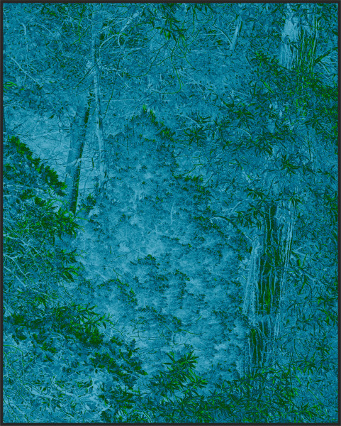 Clifford Ross - Harmonium IX