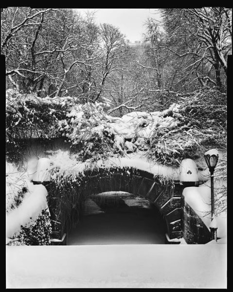 Mark Seliger- Central Park