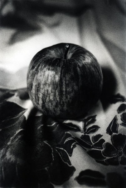 Daido Moriyama  - A Journey to Nakaji 8: &quot;Room&quot; (Apple)