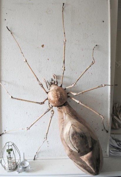 Mister Finch, Pink Spider