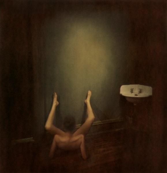 Aneta Bartos - Argiope