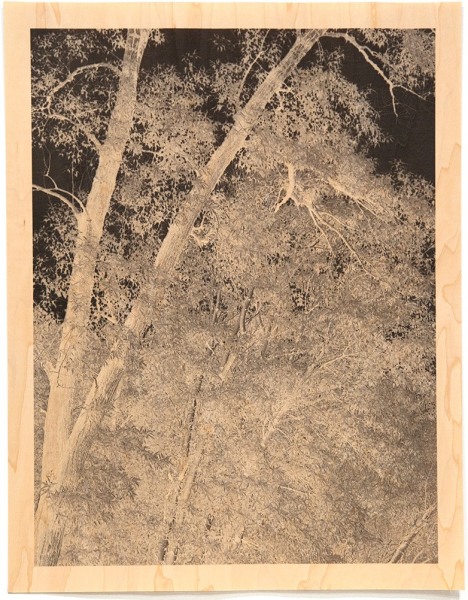 Clifford Ross - Trees I