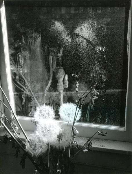 Minor White - 72 N. Union Street,