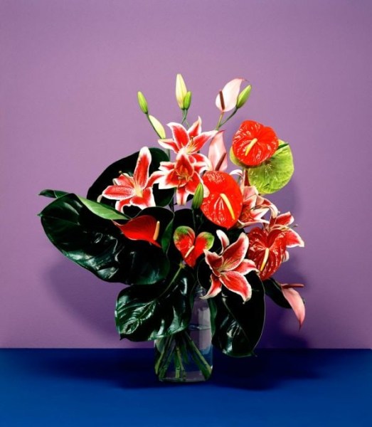 Joaquin Trujillo- Las Preferidas