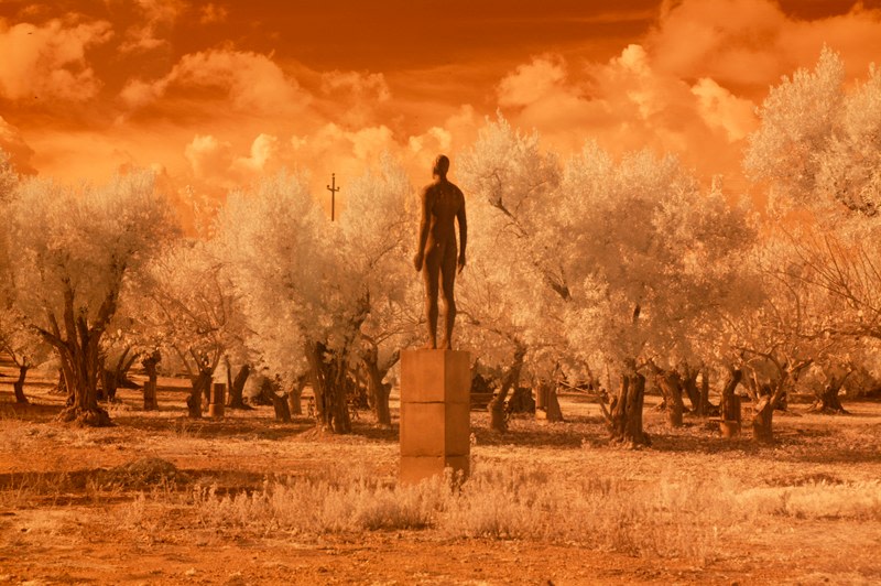 Lou Reed - Photography