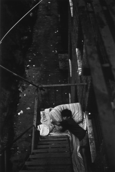 Stephen Shames - Bronx Boys