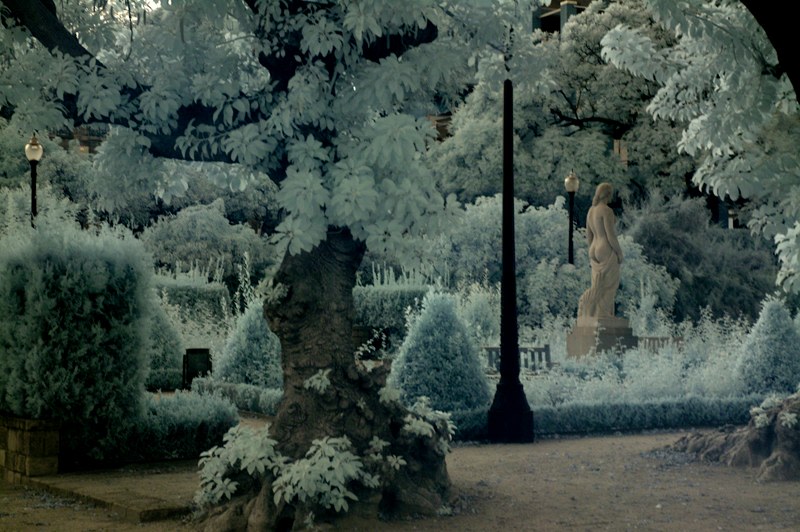 Lou Reed - Photography