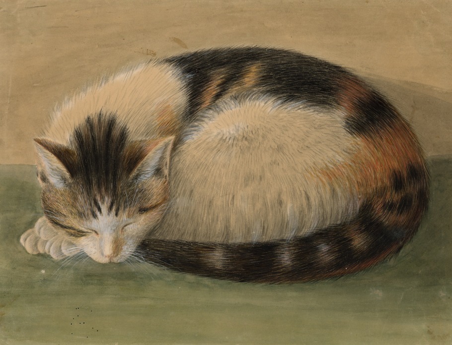 19TH CENTURY AMERICAN FOLK ART DRAWING OF A CAT