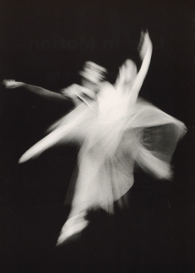 LIFE IN MOTION