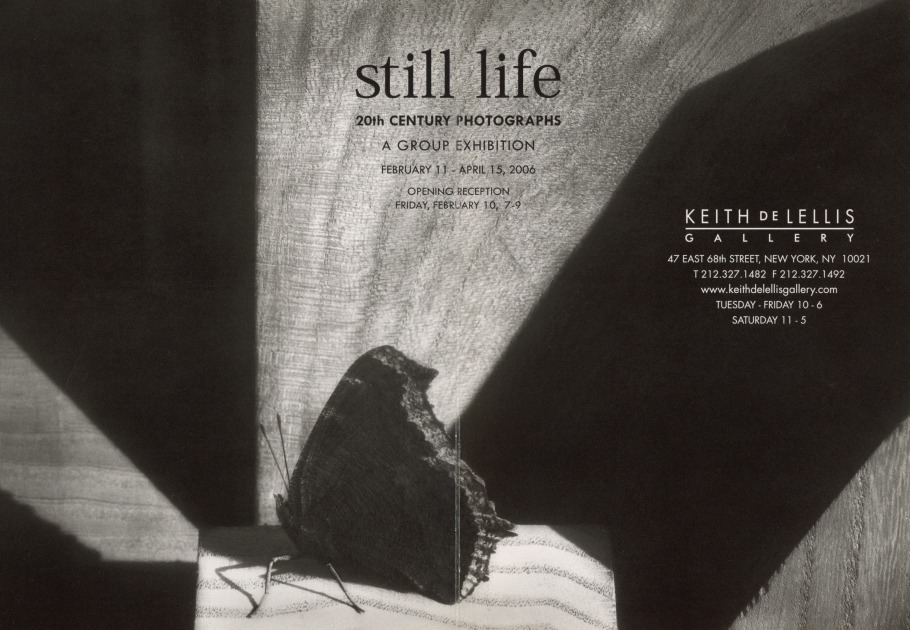 STILL LIFE