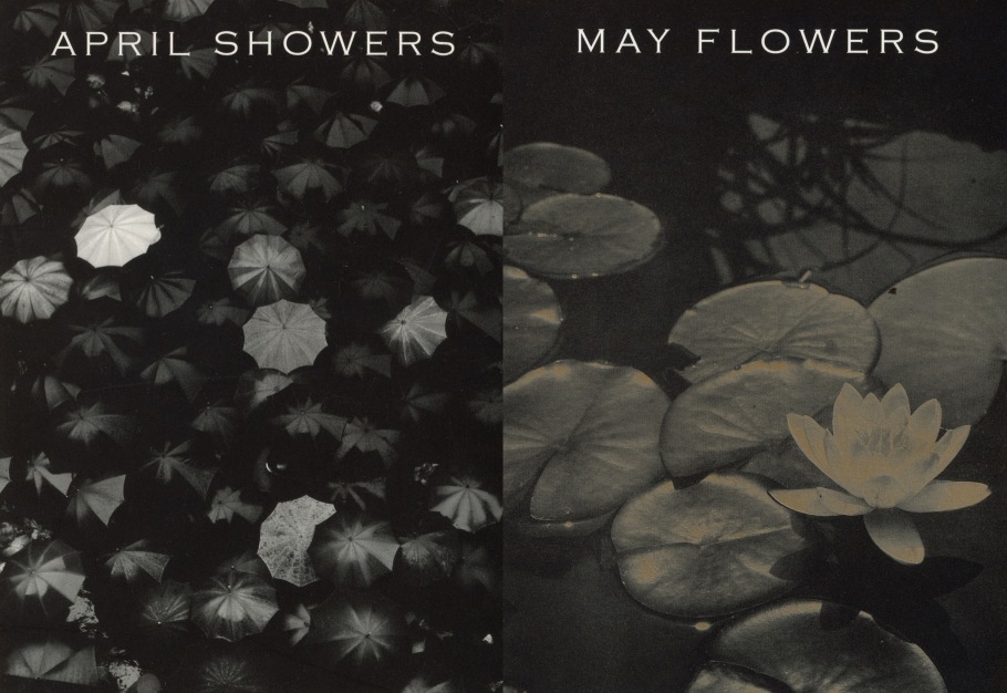 APRIL SHOWERS MAY FLOWERS