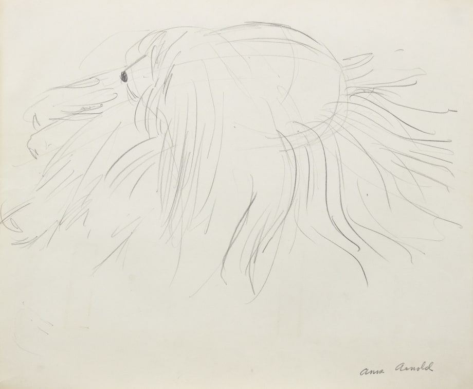 Dog, 1980, pencil on paper, 16 3/4 x 13 7/8 inches