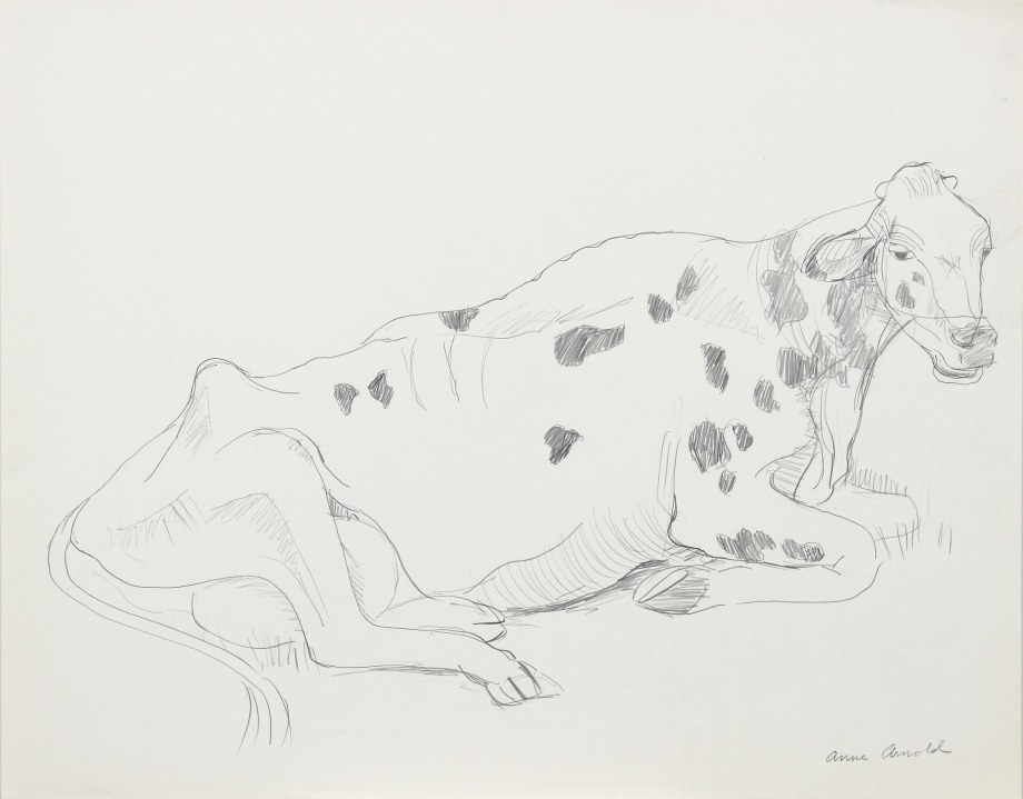 Reclining Cow, 1981, pencil on paper, 18 x 23 inches