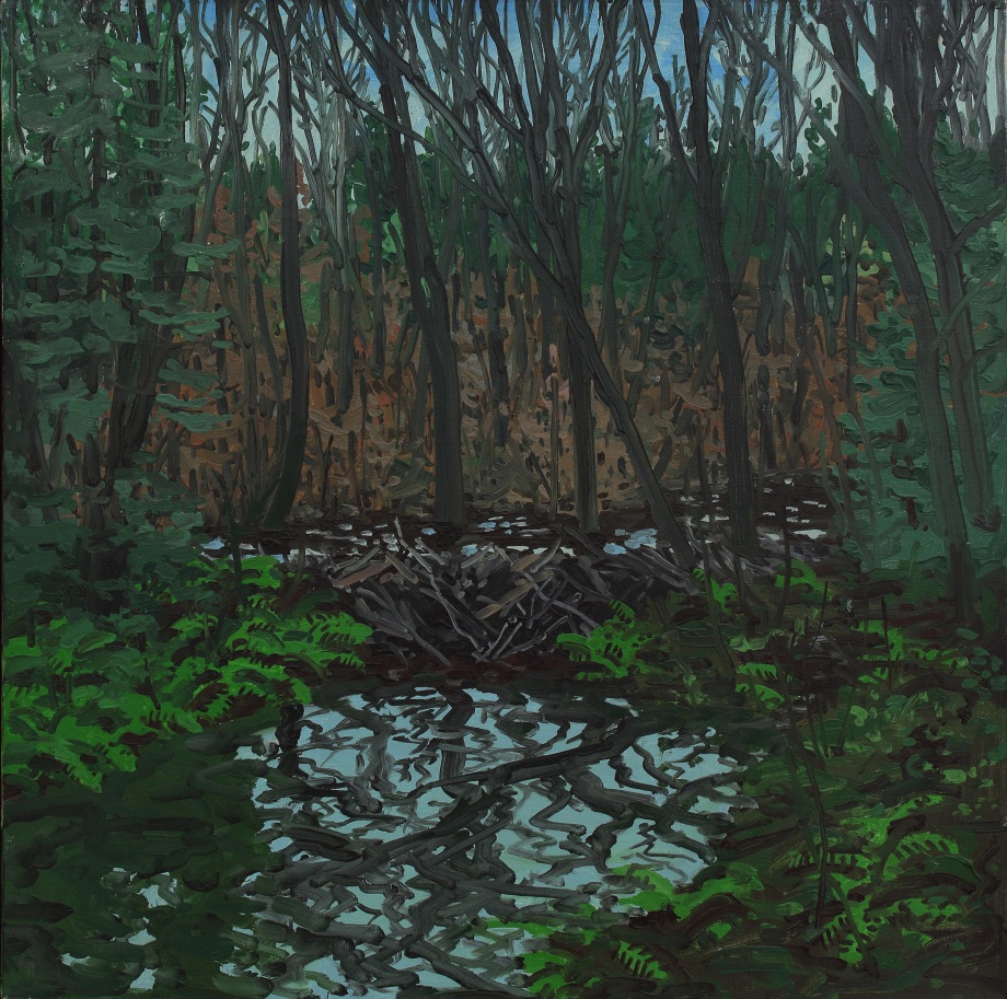 Beaver Dam, oil on canvas, 24 x 24 inches