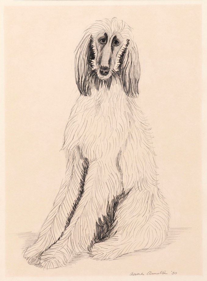 Untitled (Willow), 1980, pencil on paper, 20 x 14 1/2 inches