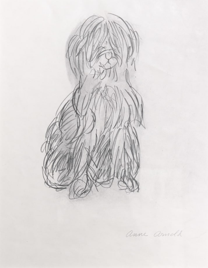 Small Dog, c. 1980s, pencil on paper, 13 1/4 x 10 1/4 inches