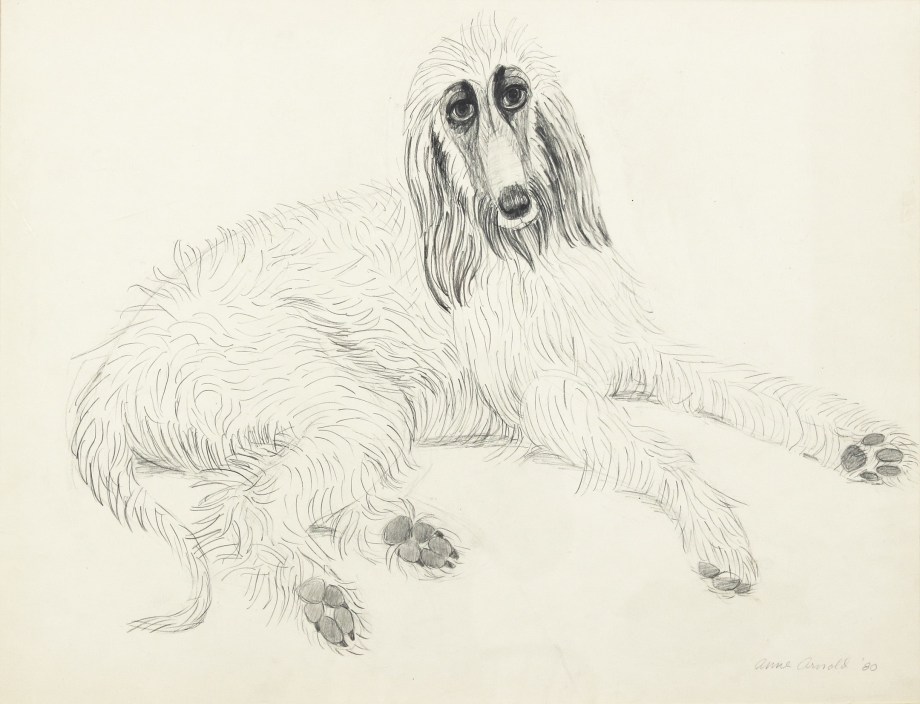 Willow, 1980, pencil on paper, 17 3/4 x 23 inches
