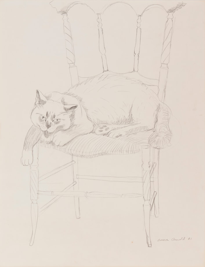 Untitled (Lion), 1981, pencil on paper, 24 x 18 1/2 inches