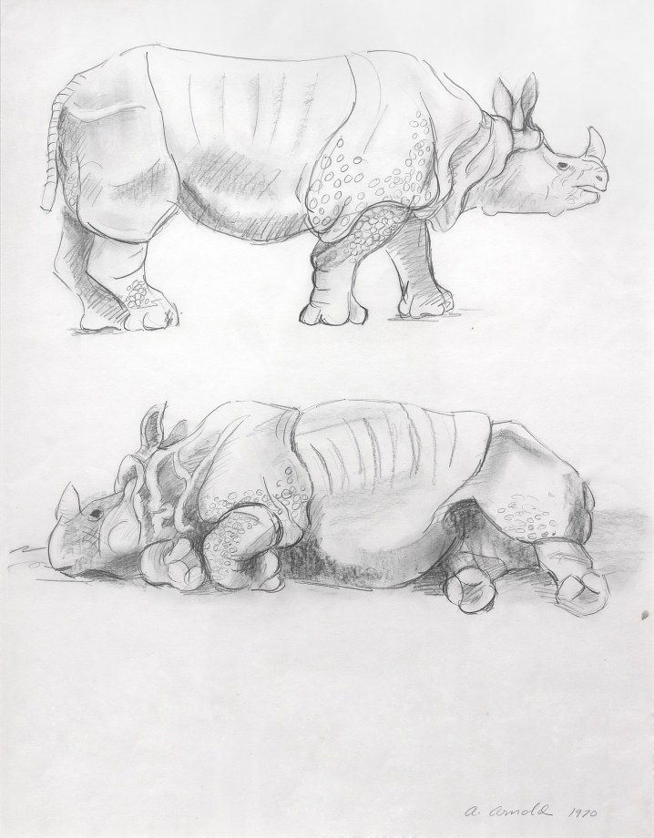 Two Rhinos, 1970, pencil on paper, 22 3/4 x 17 3/4 inches