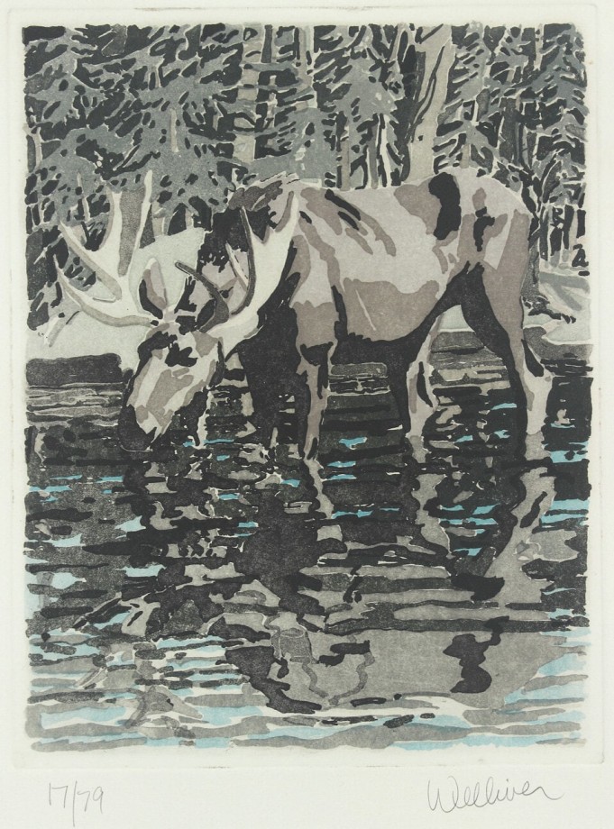 Moose,&nbsp;1981, aquatint, 17 1/2 x 14 1/2 inches