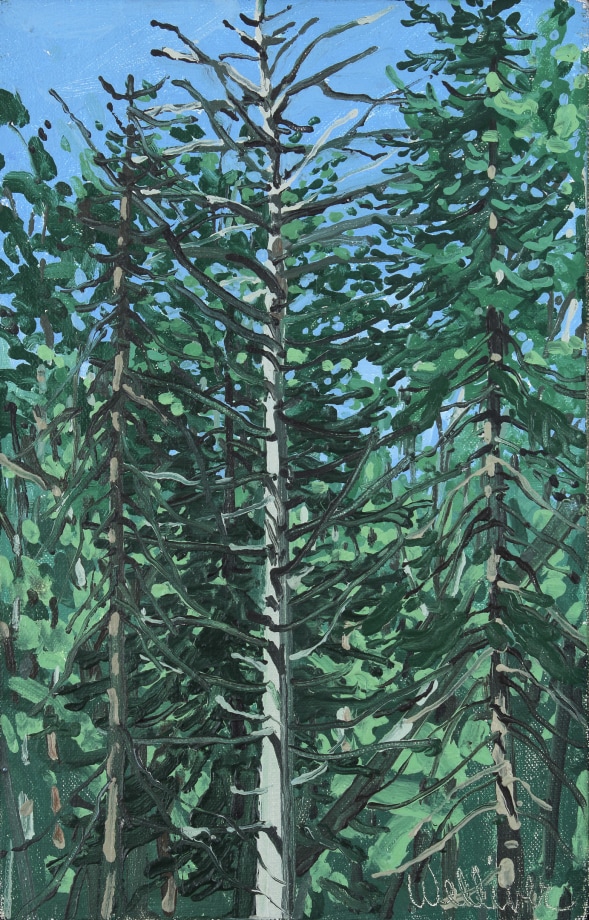 Untitled (Dead Tree), 1976, oil on linen, 14 x 9 inches