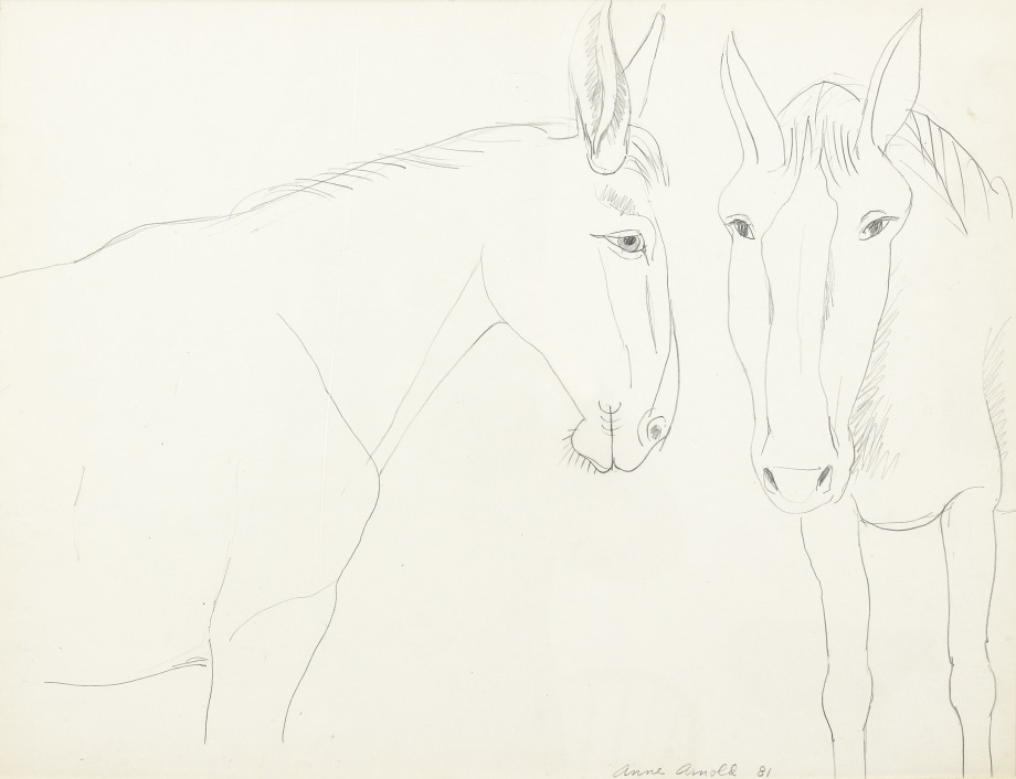 Two Mules, 1981, pencil on paper, 17 7/8 x 22 3/4 inches
