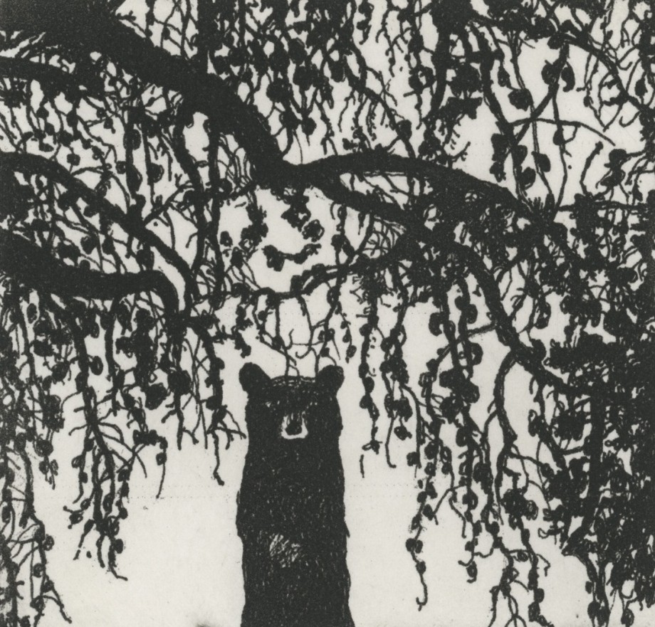MKM Bear, 2020, etching on paper, 7 1/8 x 5 3/8 inches