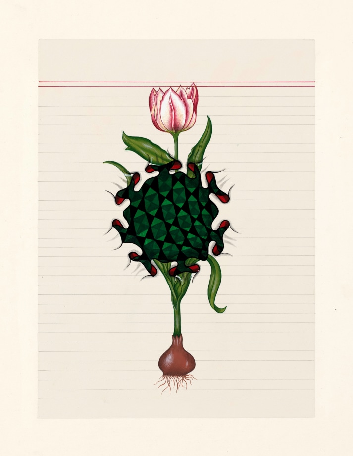 Painting of a tulip and its bulb on wasli paper