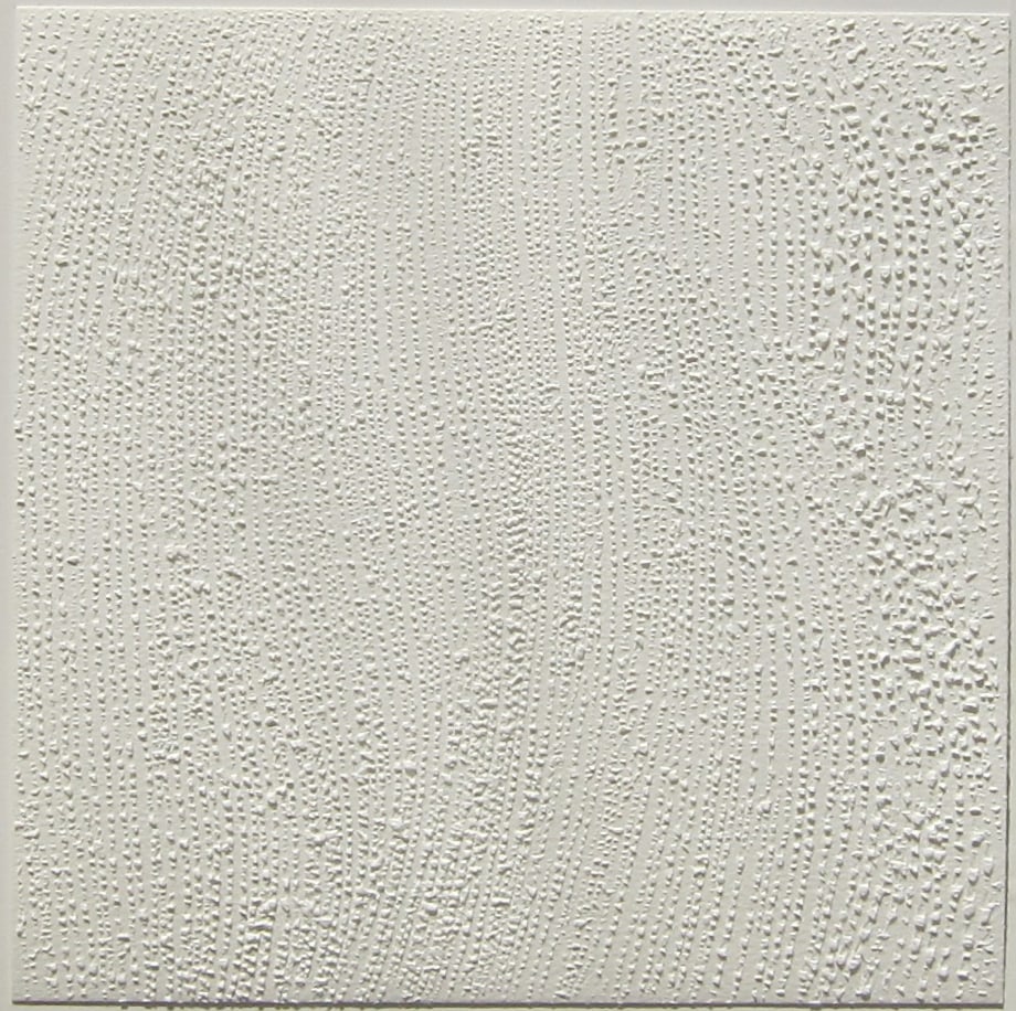 Mohammad Kazem Untitled (White on White 10)